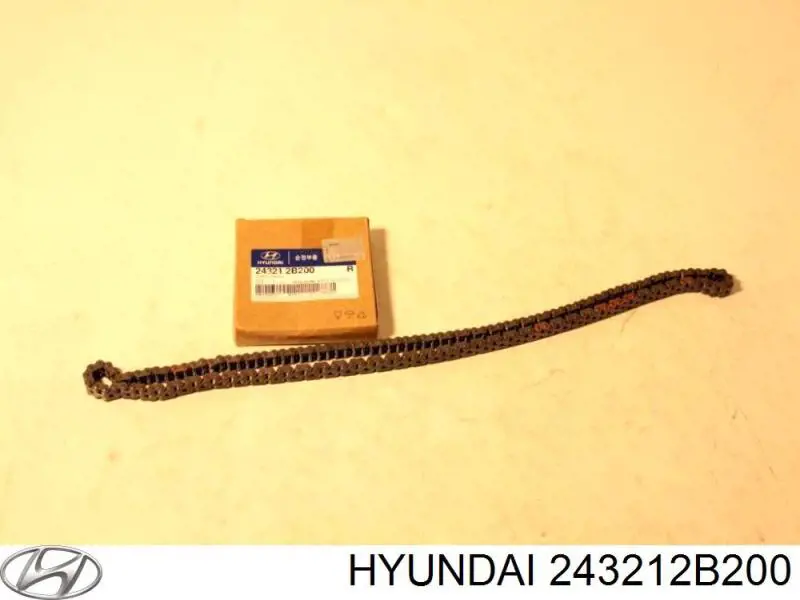 Do koszyka 243212B200 Hyundai/Kia Łańcuch rozrządu
