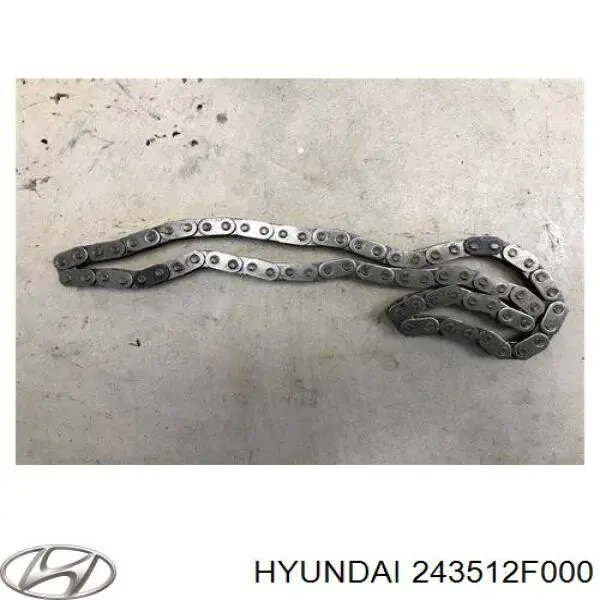 Łańcuch pompy oleju Hyundai/Kia 243512F000 cena, od 73,61 USD