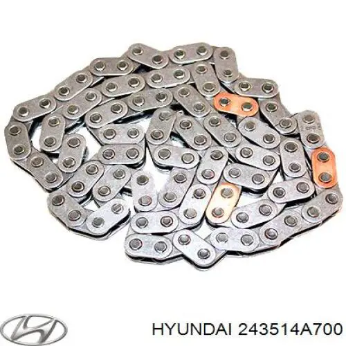 Do koszyka 243514A700 Hyundai/Kia Łańcuch rozrządu