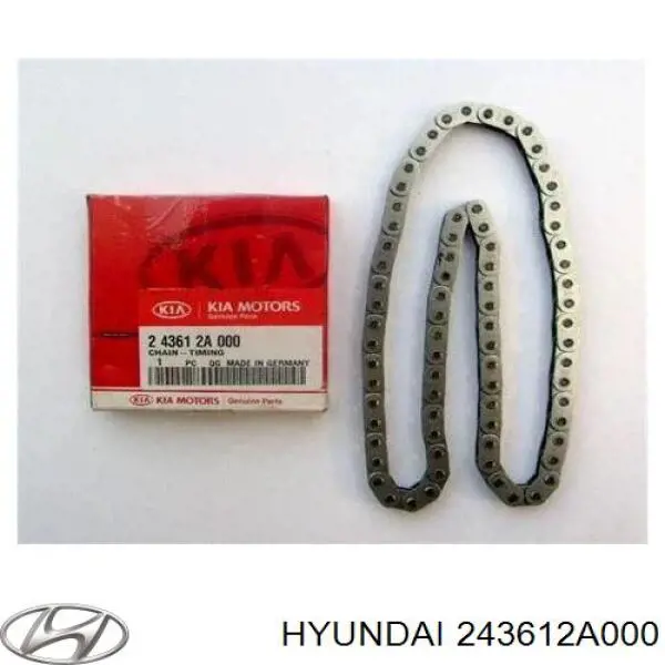 Do koszyka 243612A000 Hyundai/Kia Łańcuch rozrządu dolny