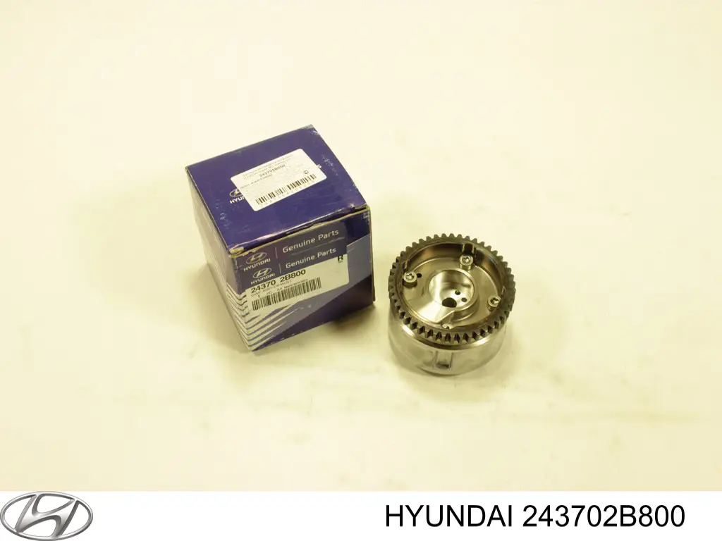243702B800 Hyundai/Kia Koło zębate walcowe wałka rozrządu wydechowego
