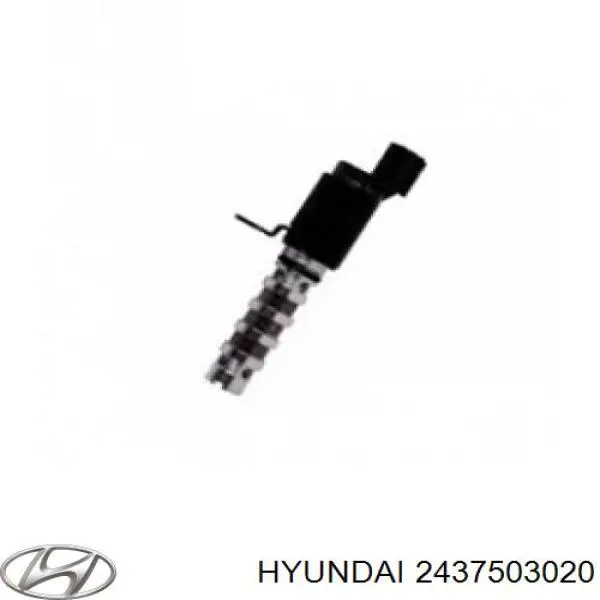 Zawór regulacji ciśnienia oleju Hyundai/Kia 2437503020 cena, od 54,04 USD