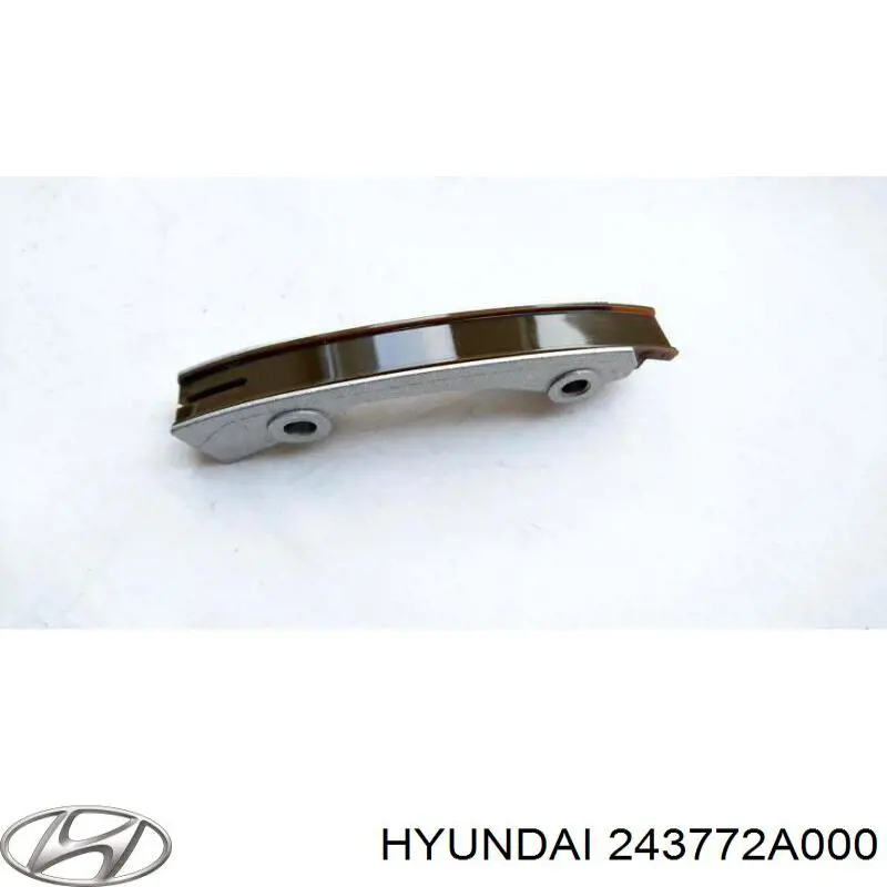 243772A000 Hyundai/Kia tłumik drgań łańcucha rozrządu, lewy