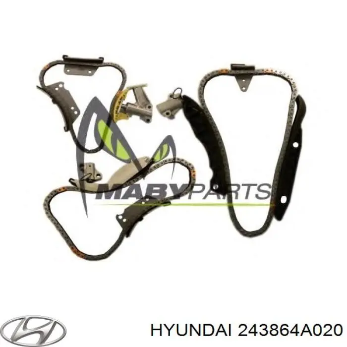 243864A020 Hyundai/Kia Tłumik drgań łańcucha rozrządu, prawy