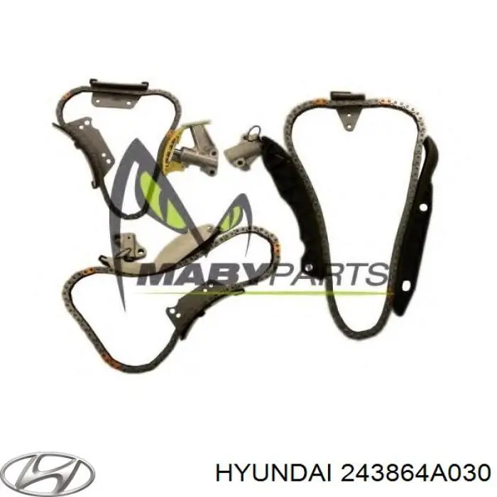 243864A030 Hyundai/Kia Tłumik drgań łańcucha rozrządu, prawy