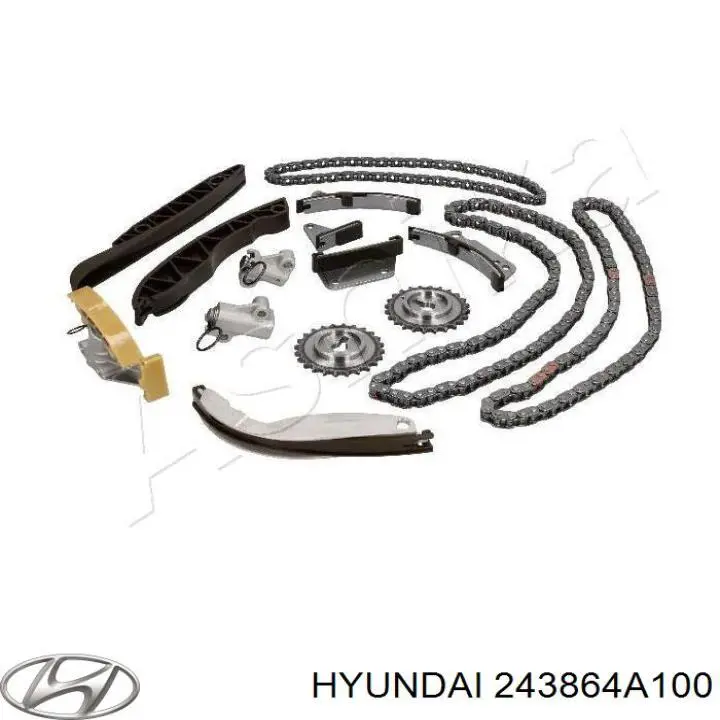 243864A100 Hyundai/Kia Tłumik drgań łańcucha rozrządu, prawy