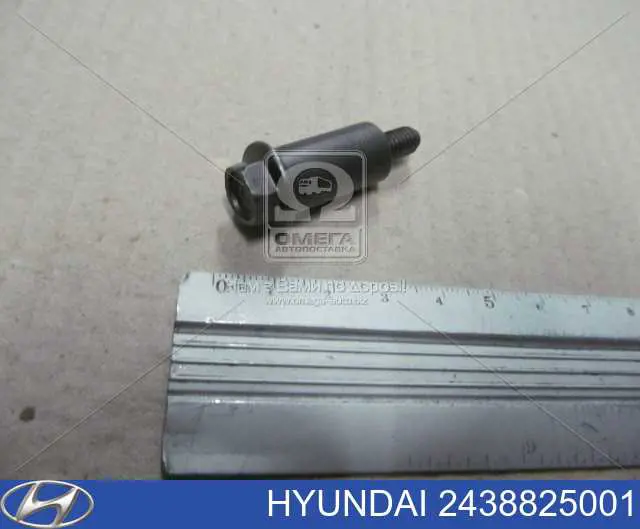 2438825001 Hyundai/Kia Łańcuch pompy oleju, zestaw