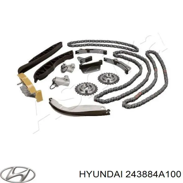 243884A100 Hyundai/Kia Tłumik drgań łańcucha rozrządu górny (głowica cylindrów)