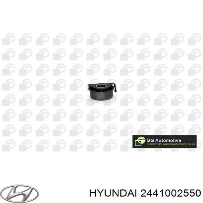 2441002550 Hyundai/Kia Napinacz paska rozrządu
