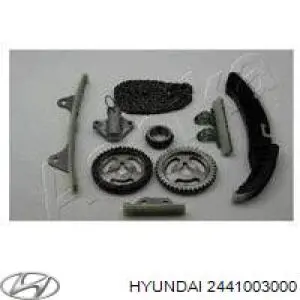 Napinacz łańcucha rozrządu Hyundai/Kia 2441003000 cena, od 38,06 USD