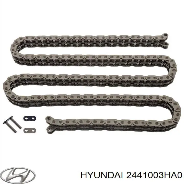 2441003HA0 Hyundai/Kia Napinacz łańcucha rozrządu