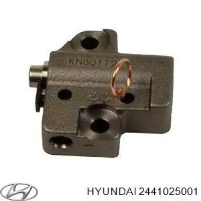 Do koszyka 2441025001 Hyundai/Kia Napinacz łańcucha rozrządu
