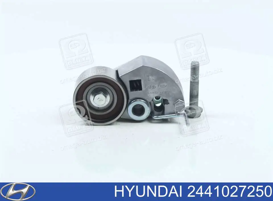 2441027250 Hyundai/Kia napinacz paska rozrządu