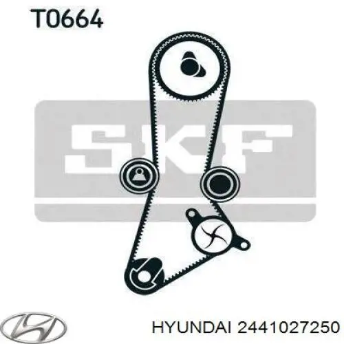 Do koszyka 2441027250 Hyundai/Kia Napinacz paska rozrządu