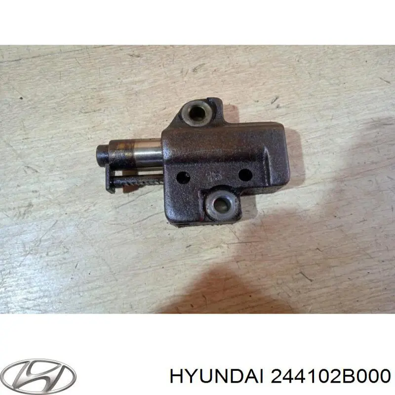 Do koszyka 244102B000 Hyundai/Kia Napinacz łańcucha rozrządu