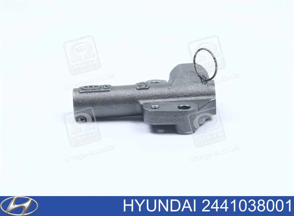 2441038001 Hyundai/Kia Napinacz paska rozrządu