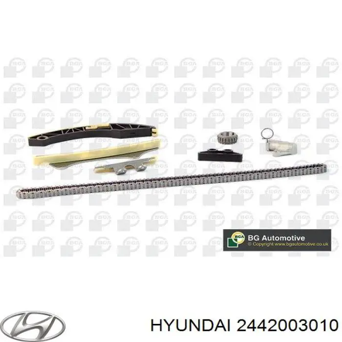 2442003010 Hyundai/Kia Prowadnica napinacza łańcucha rozrządu