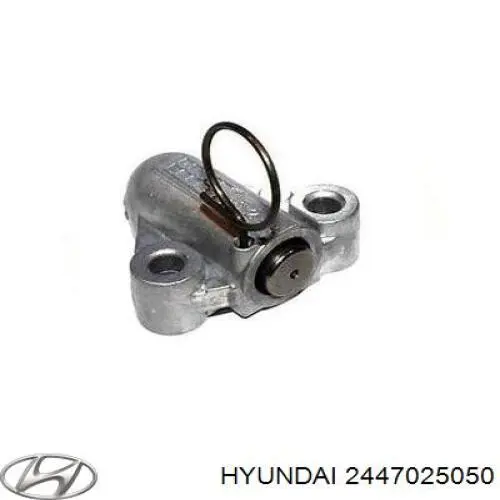 Napinacz łańcucha pompy oleju Hyundai/Kia 2447025050 cena, od 33,73 USD