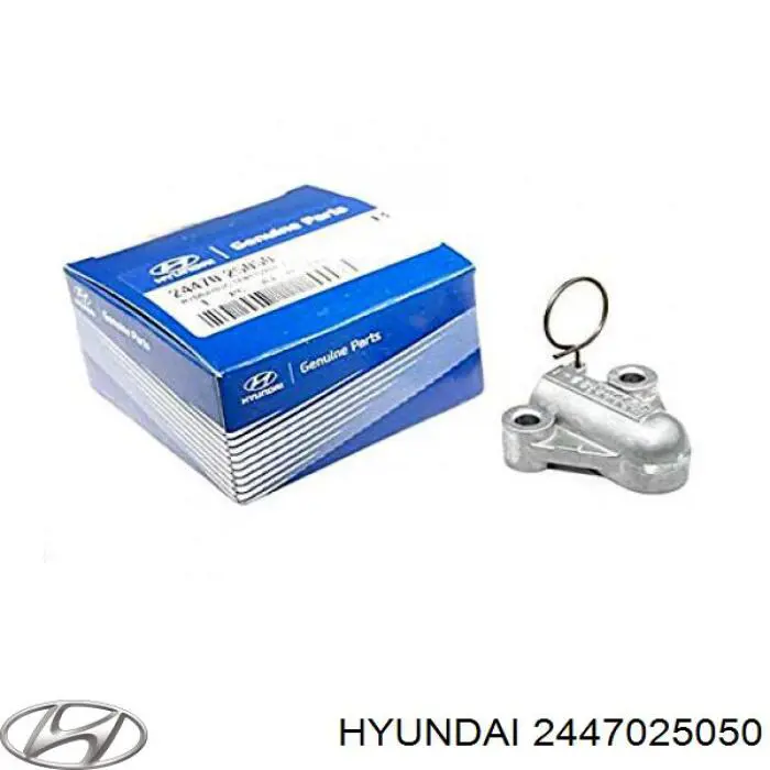 Napinacz łańcucha pompy oleju Hyundai/Kia 2447025050 cena, od 25,26 USD