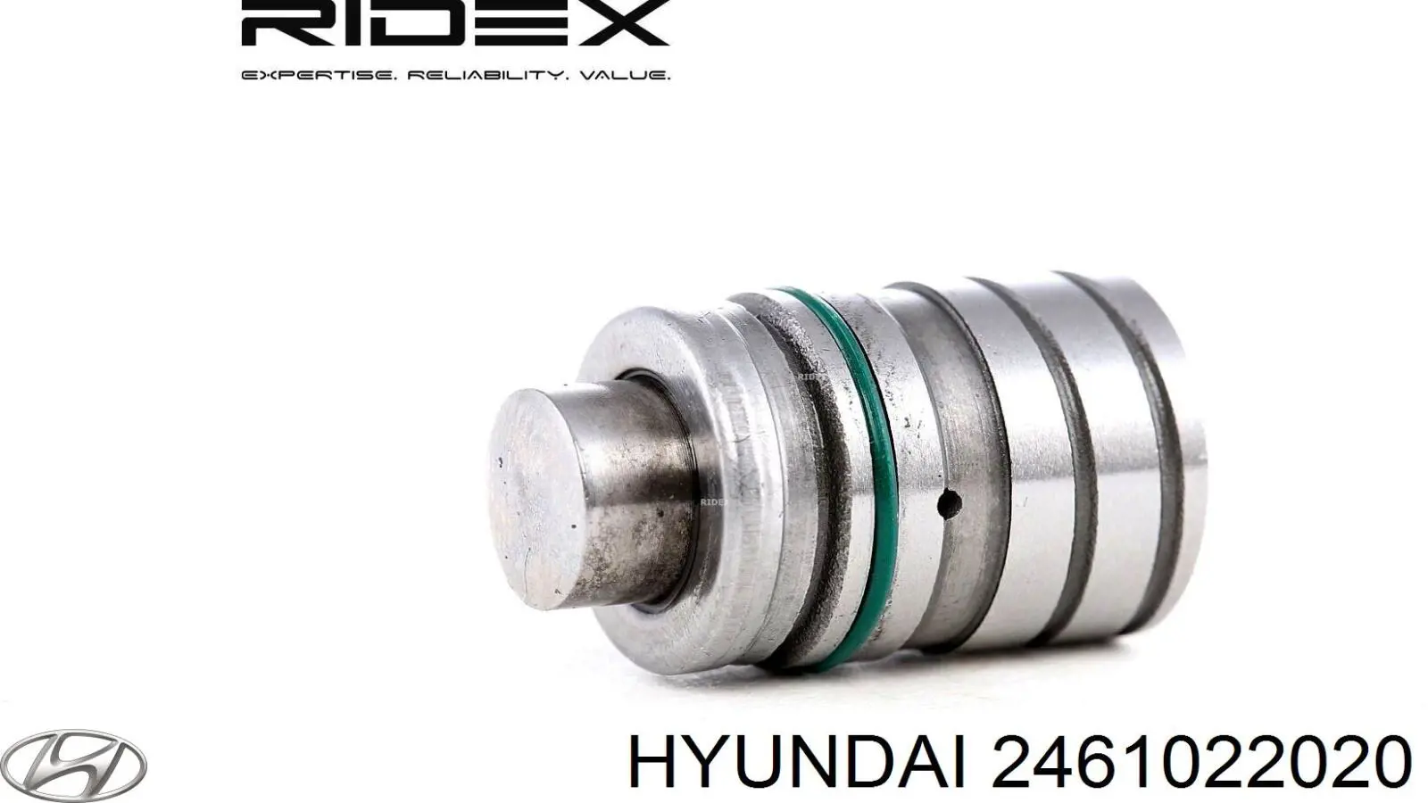 2461022020 Hyundai/Kia Kompensator hydrauliczny (popychacz hydrauliczny), popychacz zaworu