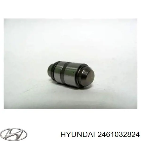 Do koszyka 2461032824 Hyundai/Kia Kompensator hydrauliczny (popychacz hydrauliczny), popychacz zaworu