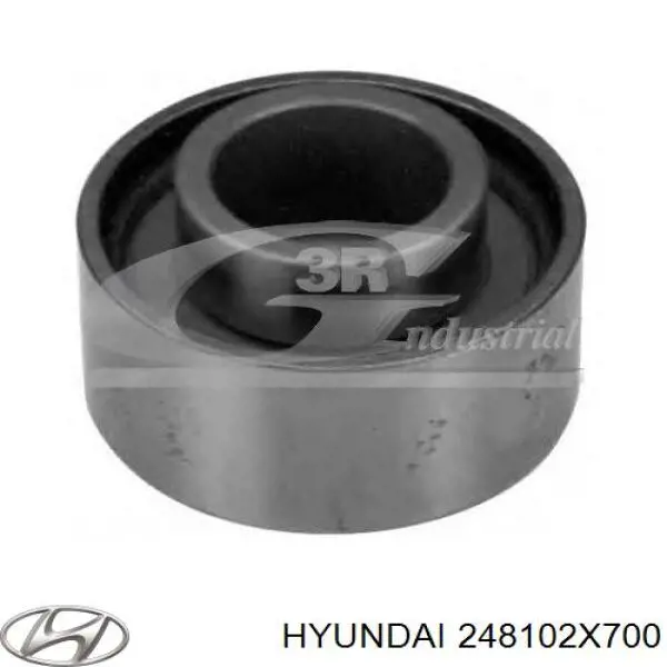 Do koszyka 248102X700 Hyundai/Kia Rolka prowadząca kierunkowa paska rozrządu