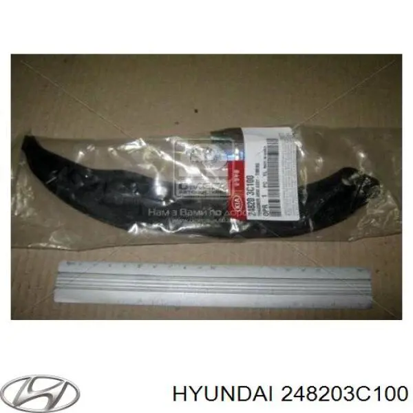 248203C100 Hyundai/Kia prowadnica napinacza łańcucha rozrządu