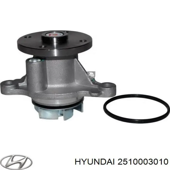 Do koszyka 2510003010 Hyundai/Kia Pompa chłodząca wodna