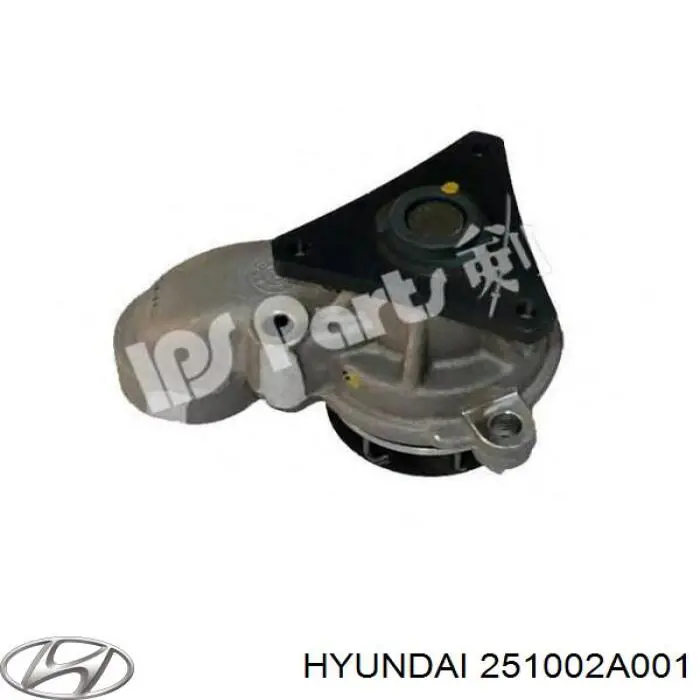 Do koszyka 251002A001 Hyundai/Kia Pompa chłodząca wodna