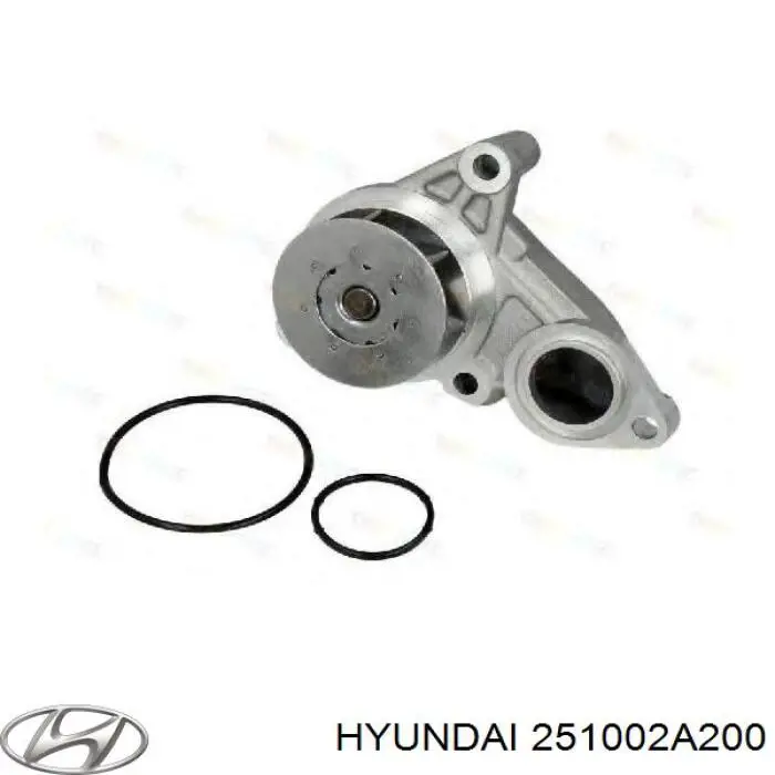 Do koszyka 251002A200 Hyundai/Kia Pompa chłodząca wodna