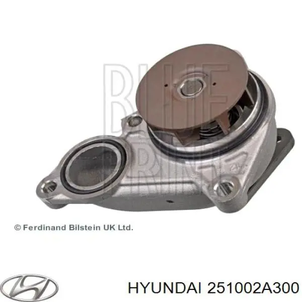 Pompa chłodząca wodna 251002A300 Hyundai/Kia