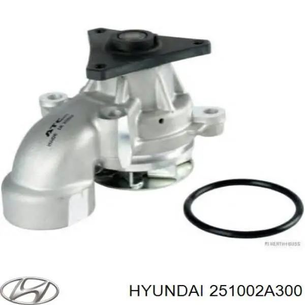 Do koszyka 251002A300 Hyundai/Kia Pompa chłodząca wodna