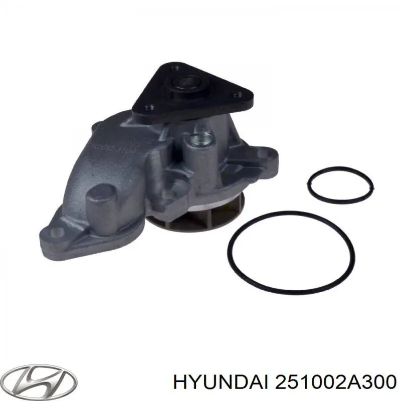 251002A300 Hyundai/Kia Pompa chłodząca wodna