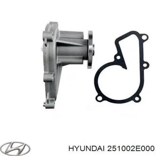 Do koszyka 251002E000 Hyundai/Kia Pompa chłodząca wodna