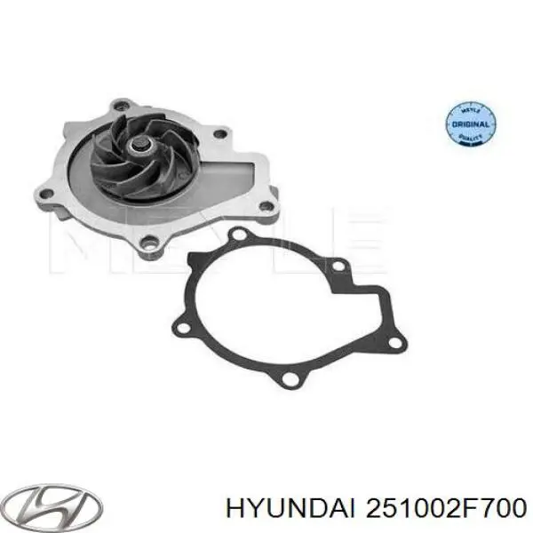Do koszyka 251002F700 Hyundai/Kia Pompa chłodząca wodna