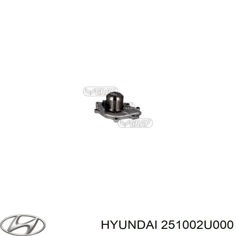 251002U000 Hyundai/Kia Pompa chłodząca wodna