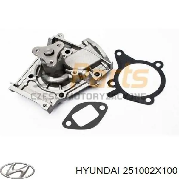 Do koszyka 251002X100 Hyundai/Kia Pompa chłodząca wodna