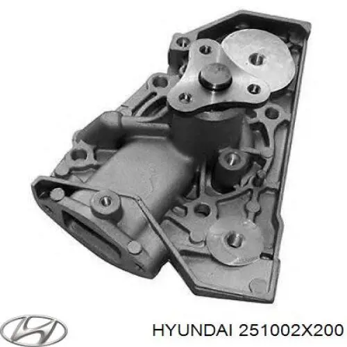 Do koszyka 251002X200 Hyundai/Kia Pompa chłodząca wodna