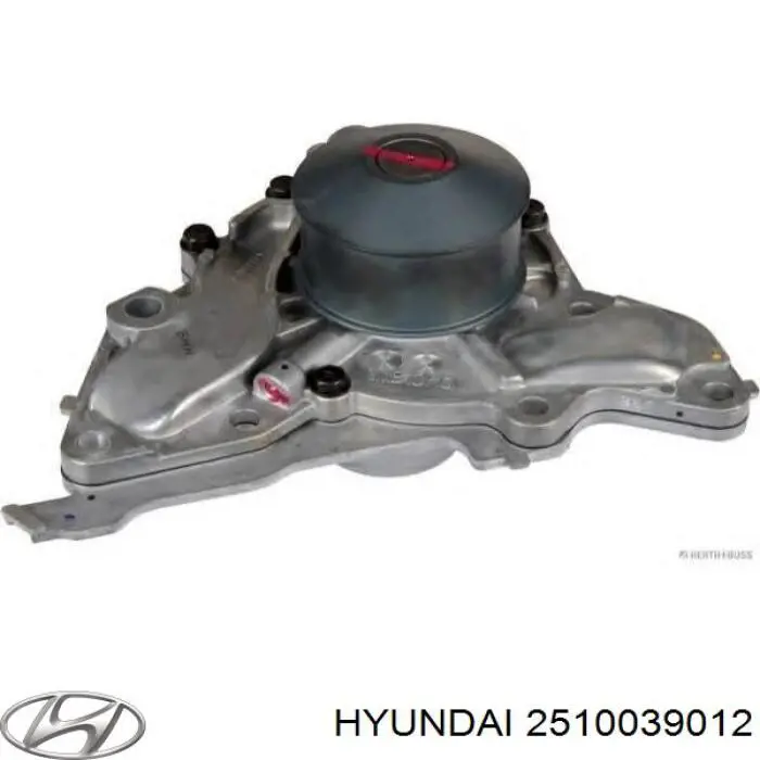 2510039012 Hyundai/Kia Pompa chłodząca wodna