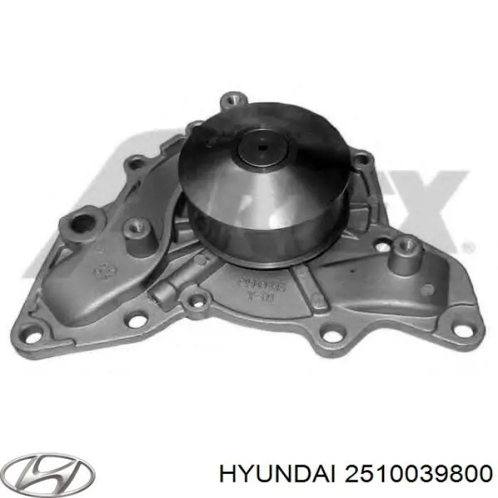 Do koszyka 2510039800 Hyundai/Kia Pompa chłodząca wodna