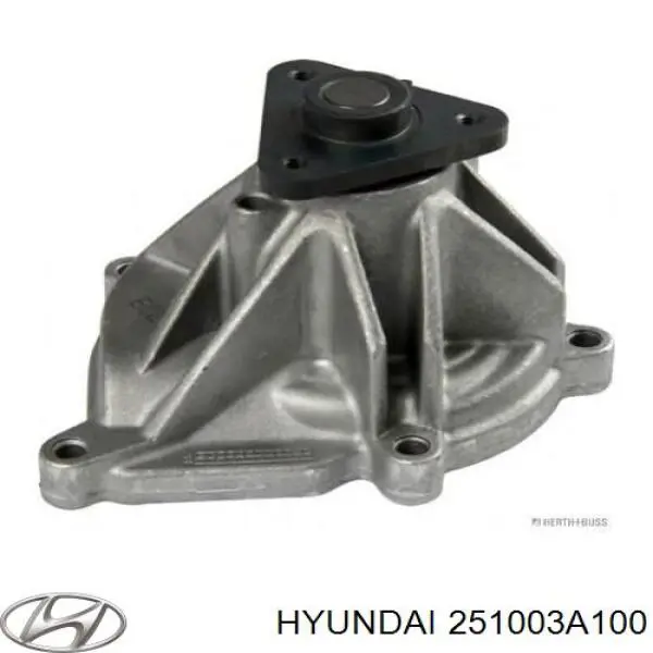 251003A100 Hyundai/Kia Pompa chłodząca wodna