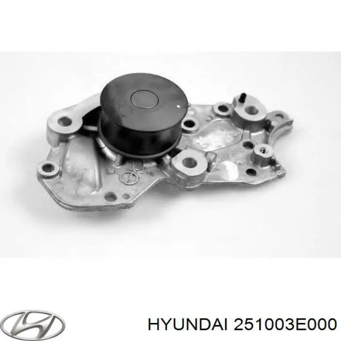 Do koszyka 251003E000 Hyundai/Kia Pompa chłodząca wodna