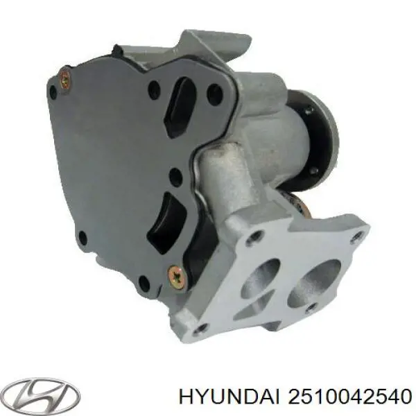 2510042540 Hyundai/Kia Pompa chłodząca wodna