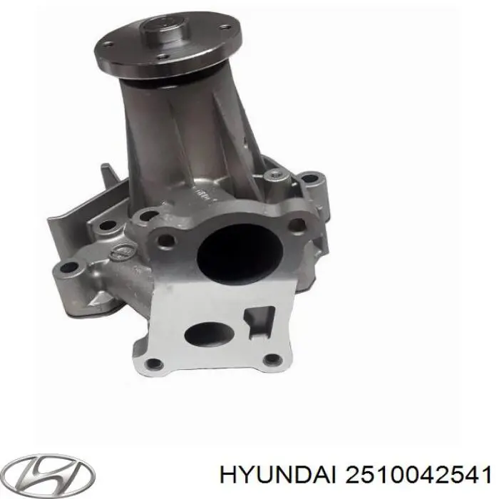 Do koszyka 2510042541 Hyundai/Kia Pompa chłodząca wodna