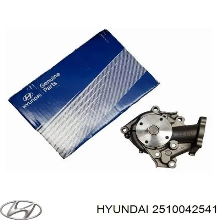 Pompa chłodząca wodna 2510042541 Hyundai/Kia