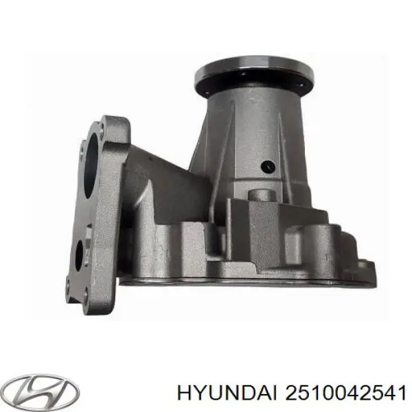 Do koszyka 2510042541 Hyundai/Kia Pompa chłodząca wodna