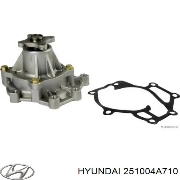 Do koszyka 251004A710 Hyundai/Kia Pompa chłodząca wodna