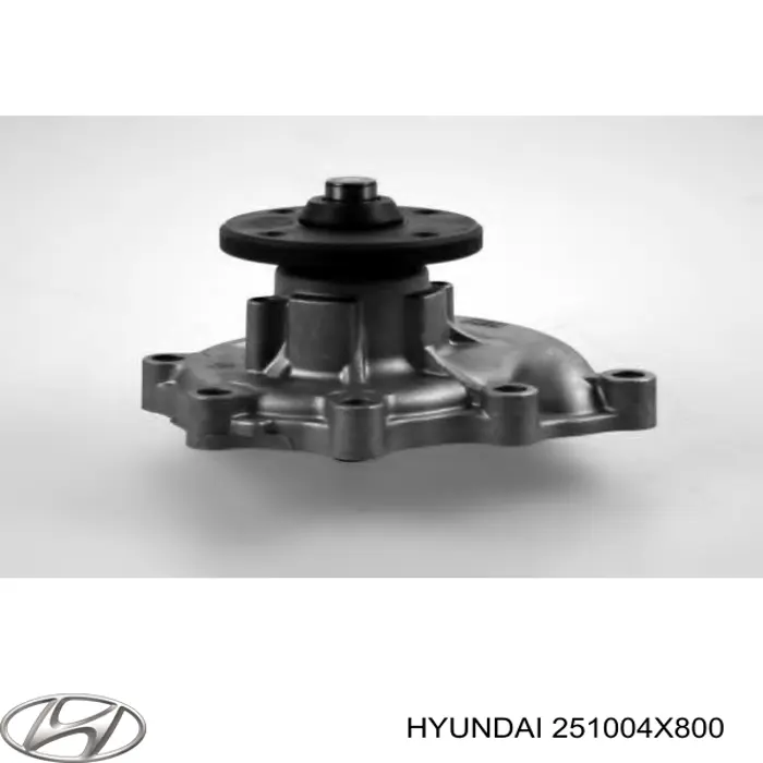 Do koszyka 251004X800 Hyundai/Kia Pompa chłodząca wodna