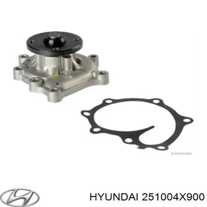 Do koszyka 251004X900 Hyundai/Kia Pompa chłodząca wodna
