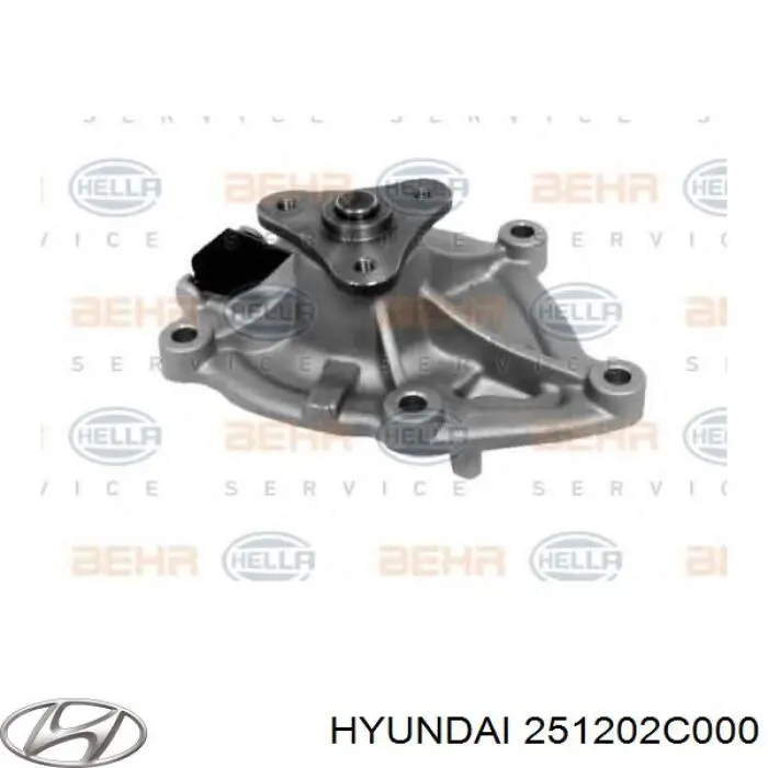 Do koszyka 251202C000 Hyundai/Kia Pompa chłodząca wodna